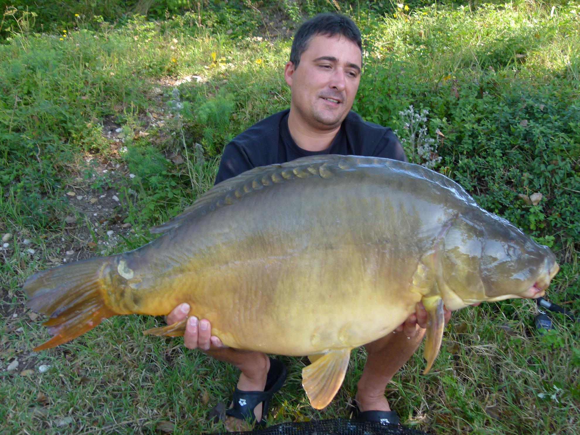 regiune Rhône-Alpes 24 - 24 sep. - p1030935.JPG